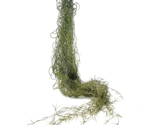 51 Large Artificial Spanish Moss Hanging Bush in - Etsy | Etsy (US)