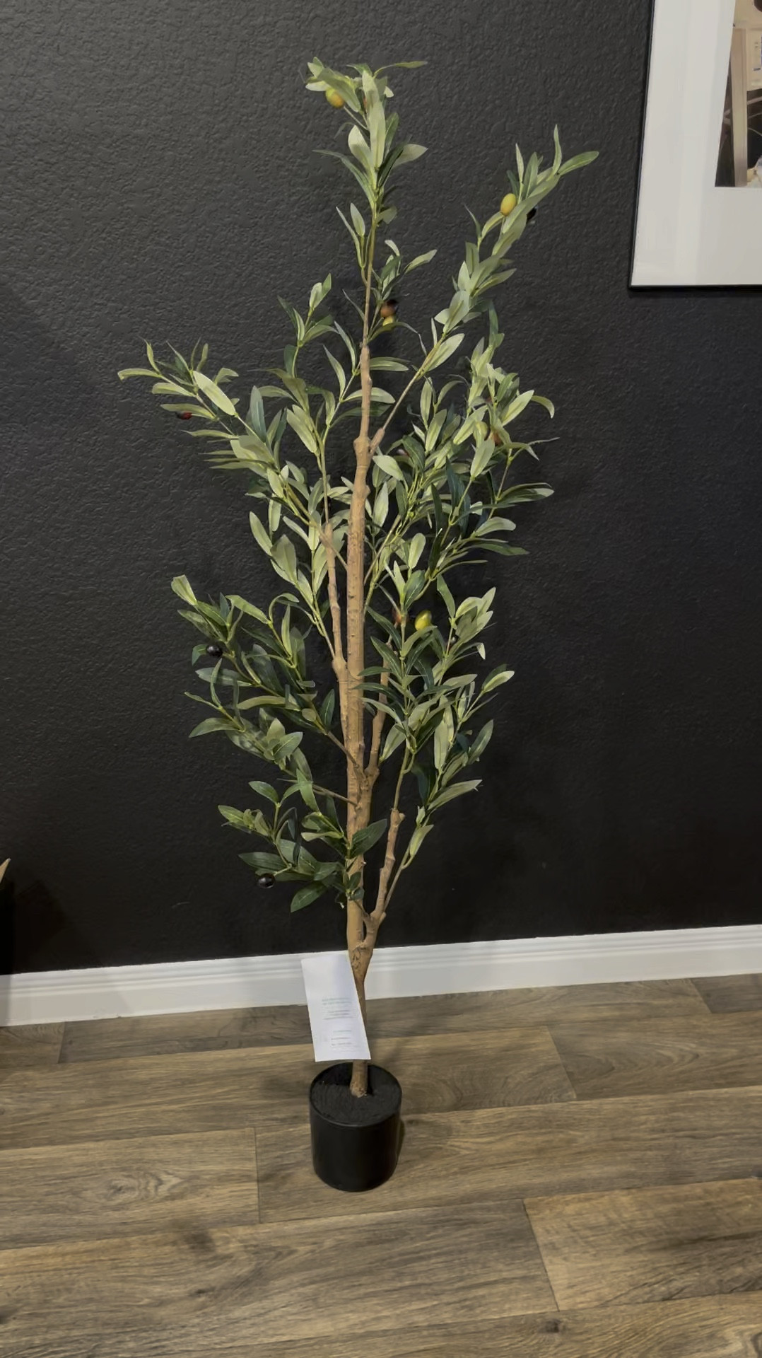 Amazon $30 4ft olive tree! 

#LTKStyleTip #LTKU #LTKHome
