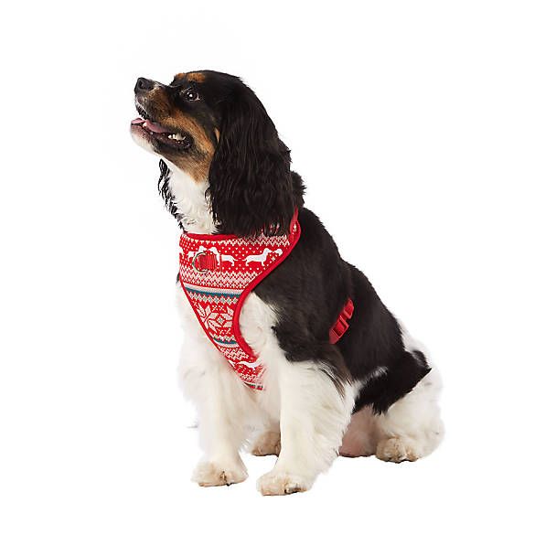 Merry & Bright&trade; Holiday Fair Isle Neoprene Dog Harness | PetSmart