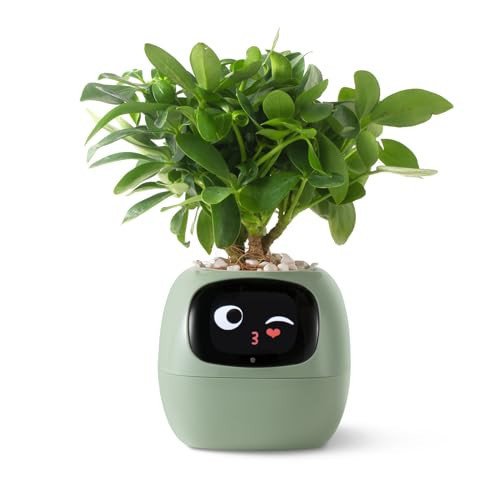 PLANTSIO Smart pet Planter Robot Guidance on Plant Care with Emojis, Adorable Plant Companion with Rich Gesture Interaction, Neat Desk Setup Gift (Green) | Amazon (US)