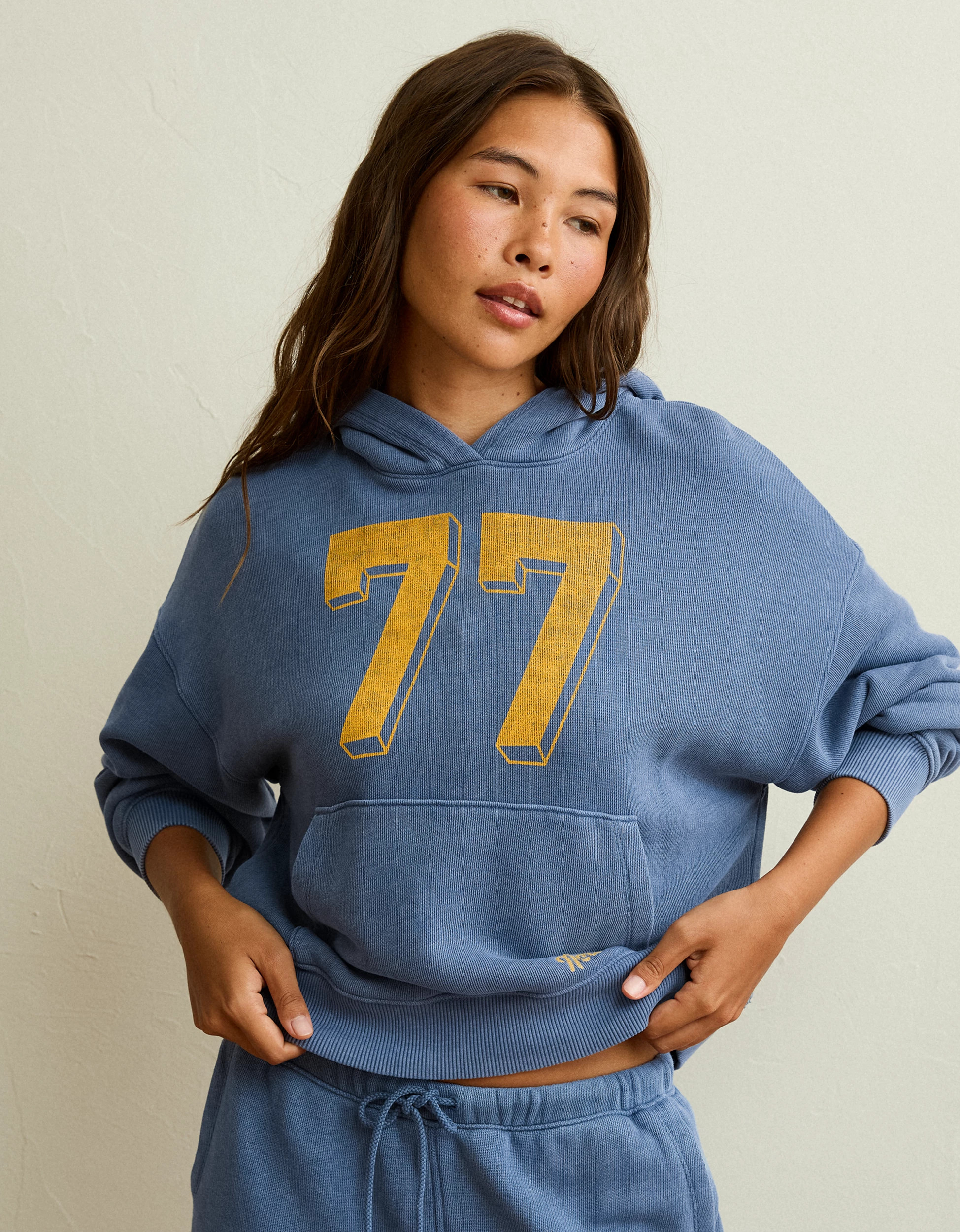 AE Campus Hoodie | American Eagle Outfitters (US & CA)