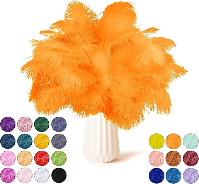 NEWONG 30pcs Orange Ostrich Feathers Natural Bulk 9-12in（23-30cm） Vase Craft Wedding Home Par... | Amazon (US)