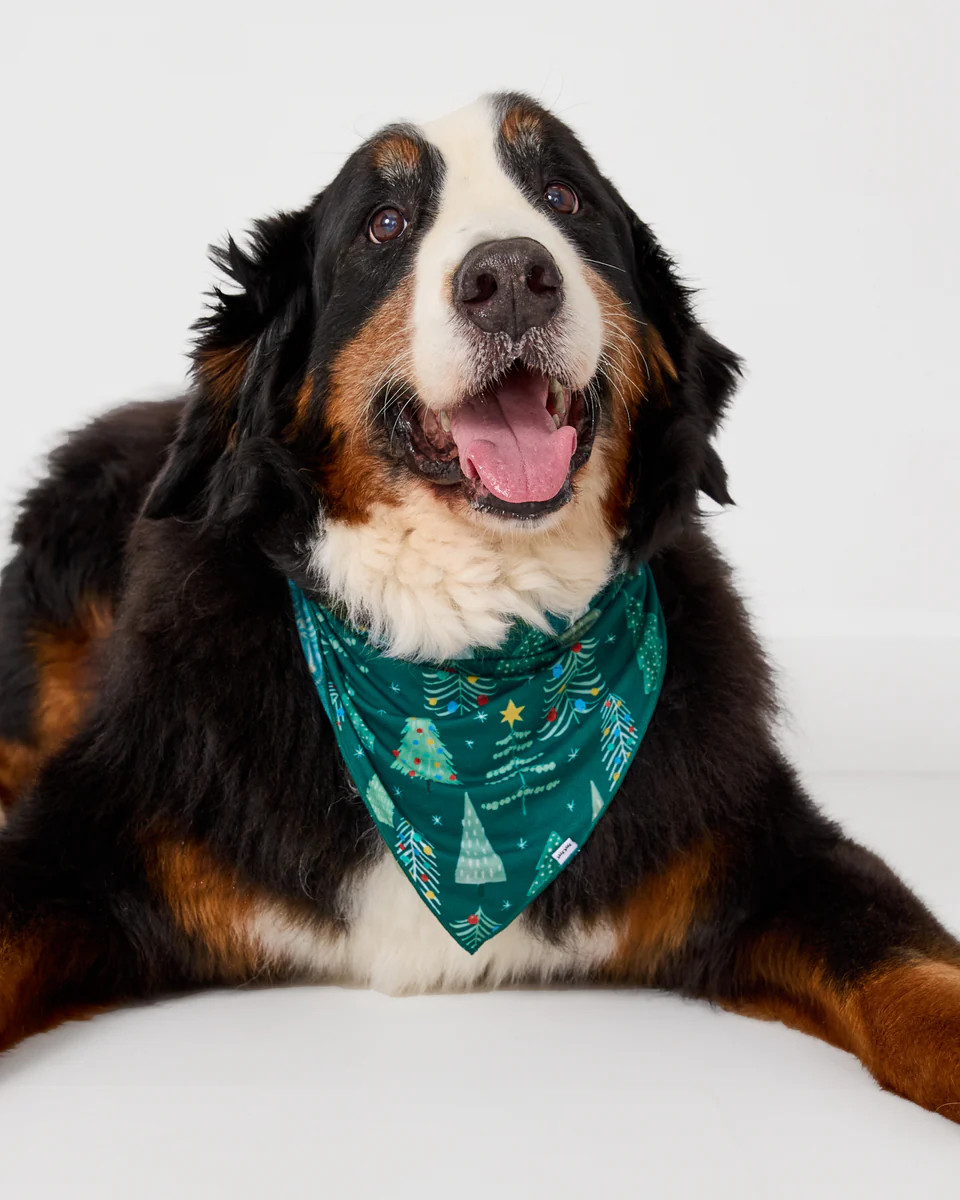 Twinkling Trees Pet Bandana | Little Sleepies