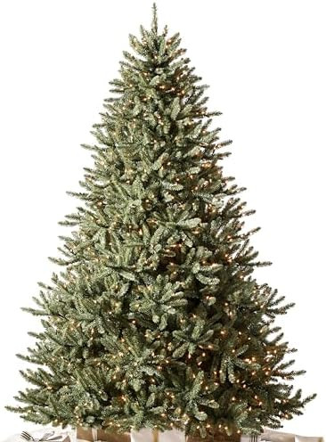 Balsam Hill 7.5ft Pre-Lit Classic Blue Spruce - Artificial Christmas Tree with 1000 Clear Incande... | Amazon (US)