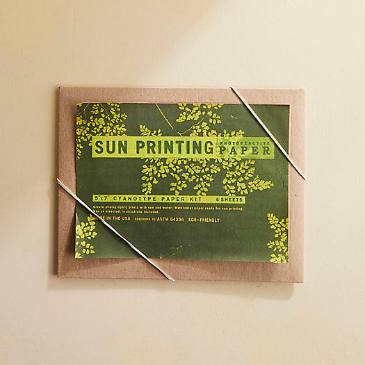 Sun Printing Kit, Green | Terrain