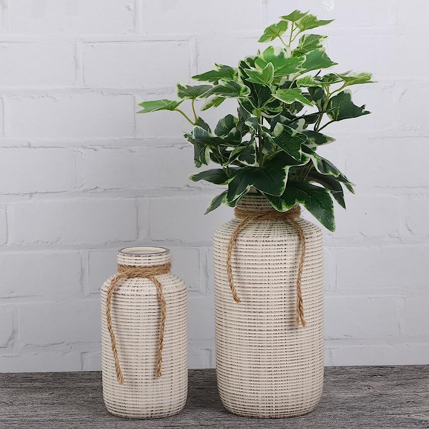 Neutral Vase  | Amazon (US)