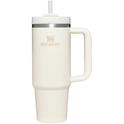 Stanley 30-fl oz Stainless Steel Insulated Water Bottle | Lowe's