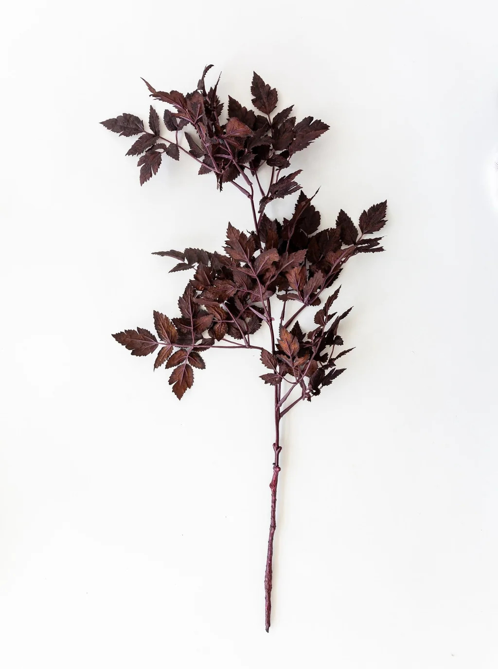 Faux Plum Ramosa Stem | House of Jade Home