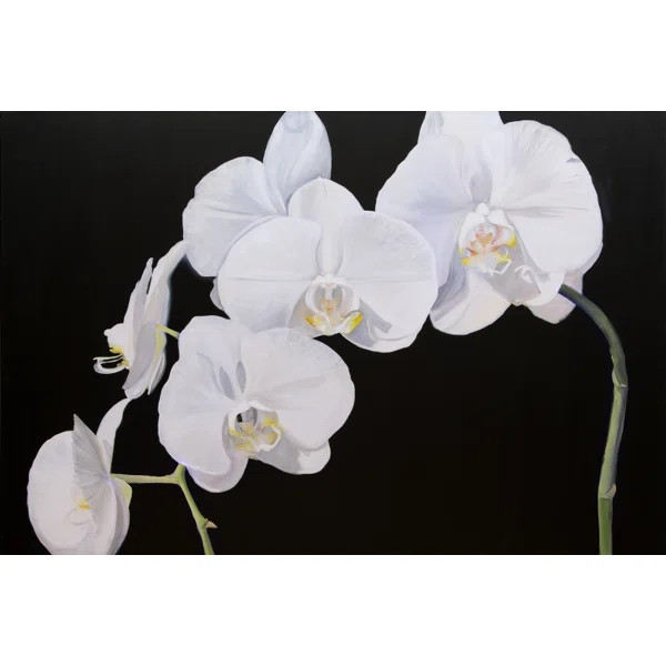 Dramatic Orchids I by Sandra Iafrate - Wrapped Canvas Painting | Wayfair Professional