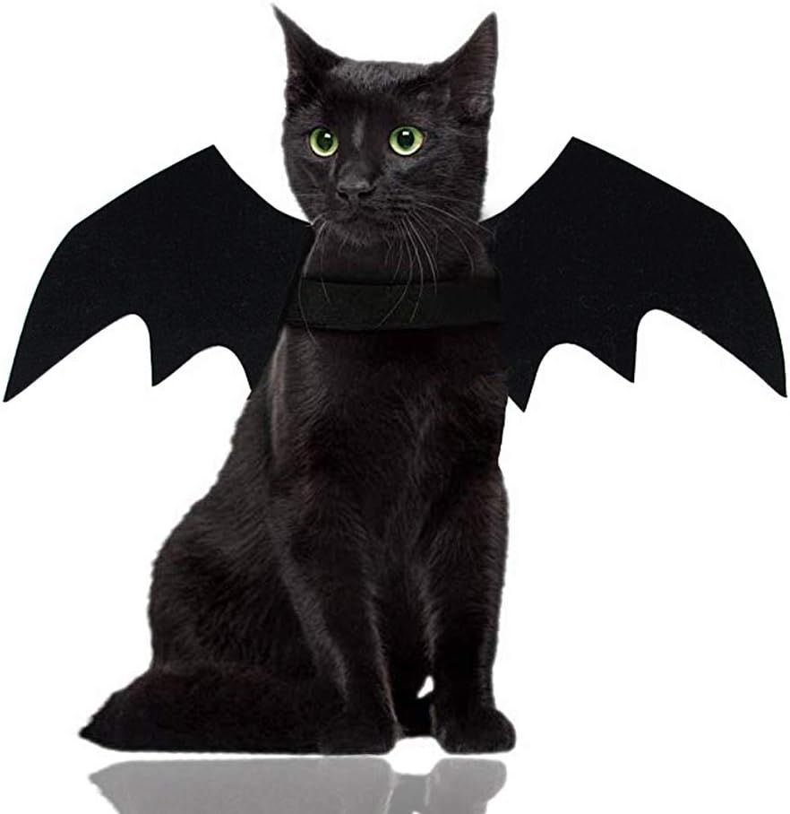 Malier Halloween Costume for Cat Dog, Dog Cat Halloween Costume Bat Wings Cosplay Costume for Sma... | Amazon (US)