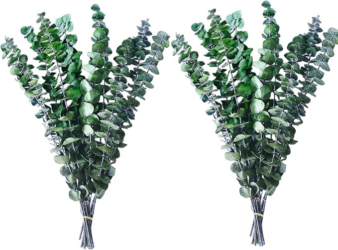 Dried Eucalyptus for Shower, 17/'' Natural Fresh Green Plant, Real Leaves Branches, Stems Flower ... | Amazon (US)