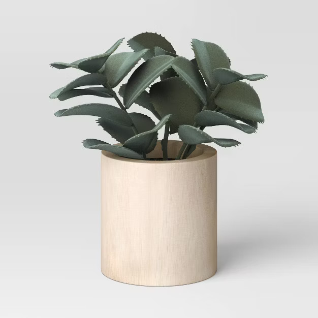 Jade Plant on Wood Pot Gray - Threshold™ | Target