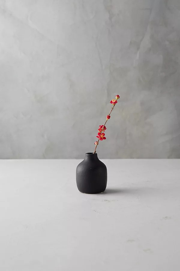 Matte Terracotta Bud Vase, Low By Terrain in Black | Anthropologie (US)