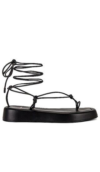 Cleo Sandal in Black | Revolve Clothing (Global)