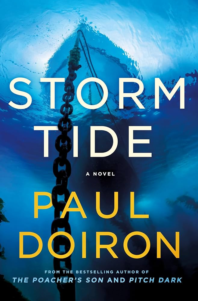 Storm Tide: A Novel (Mike Bowditch Mysteries, 16) | Amazon (US)