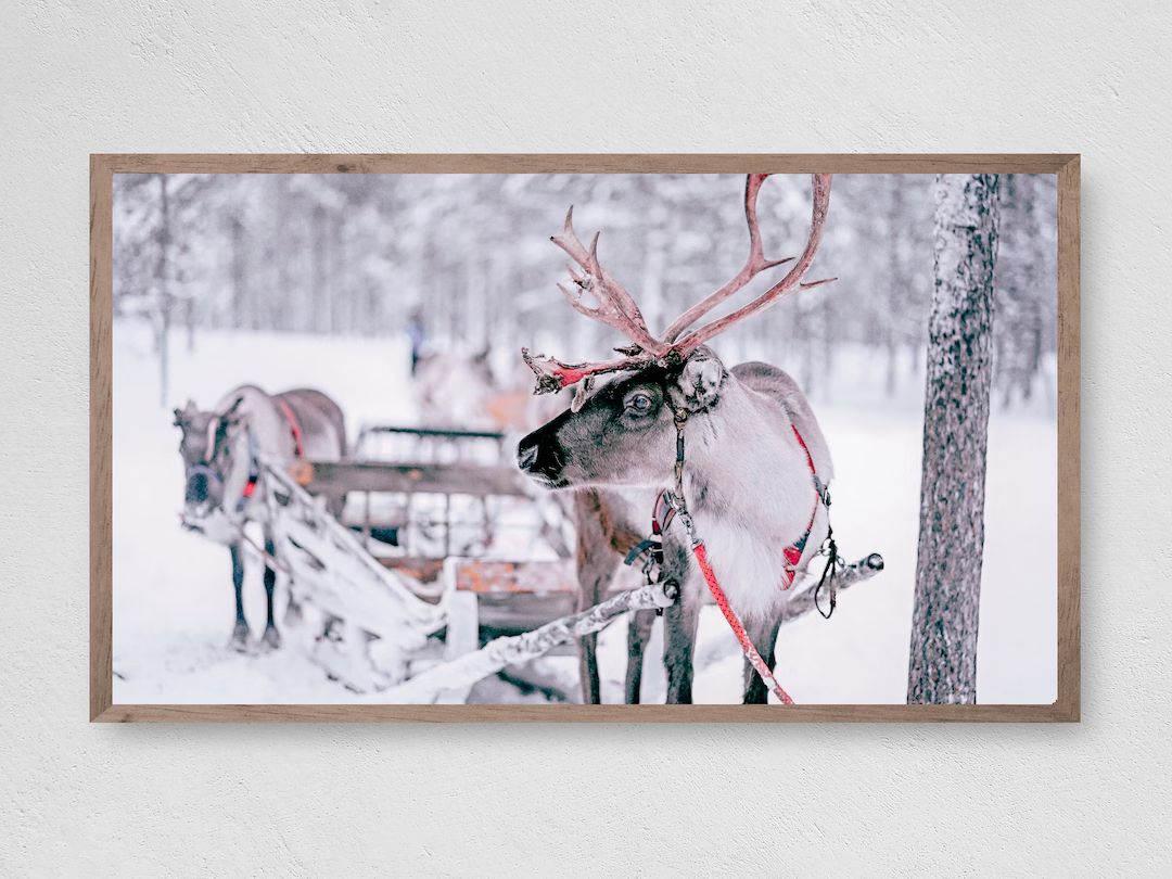 Reindeer Sleigh, Samsung Frame TV Art, Instant Download, Winter, Christmas, Snow, Reindeer, Frame... | Etsy (US)
