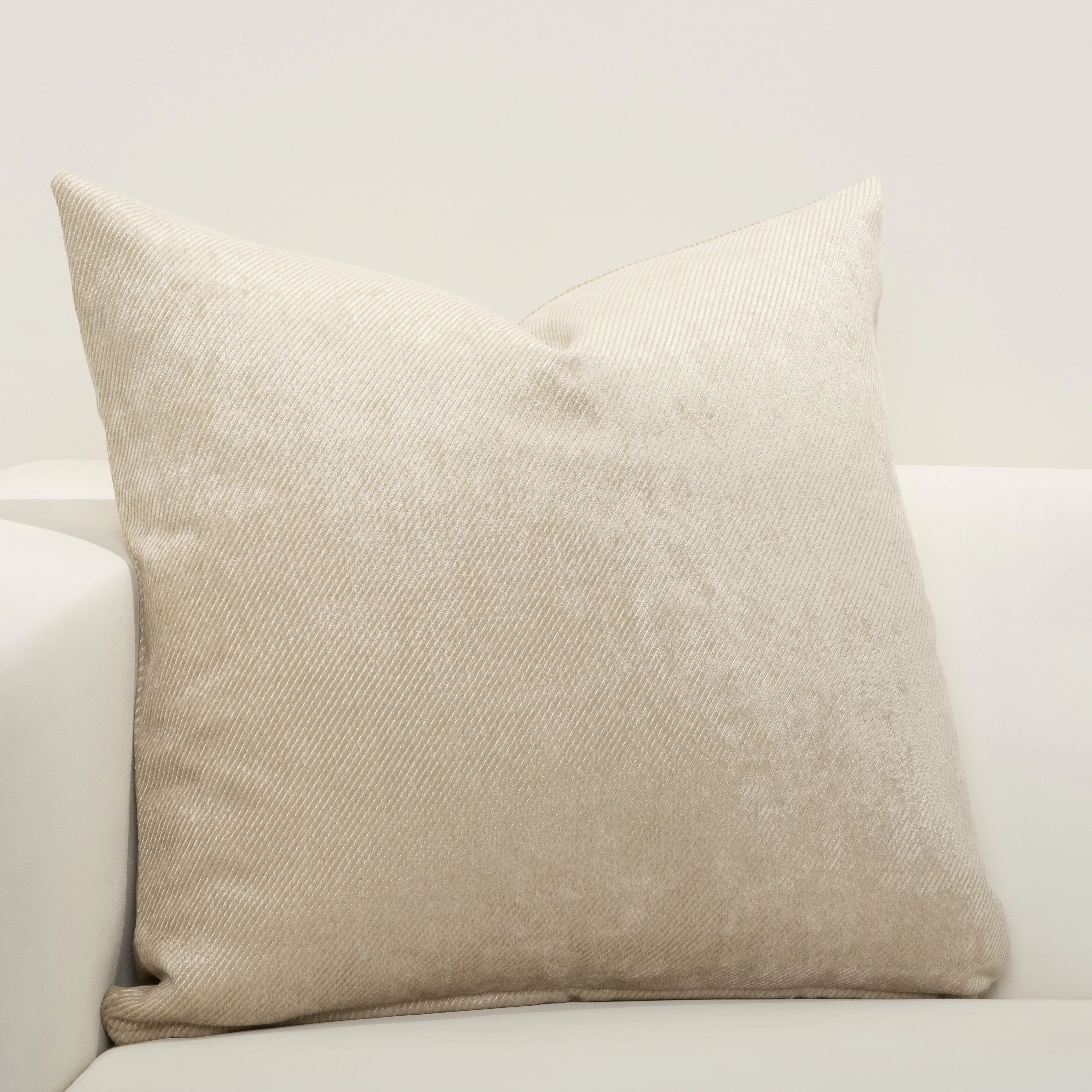 F. Scott Fitzgerald  Square Pillow Cover & Insert & Reviews | Wayfair | Wayfair North America