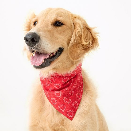 Patterned Dog Bandana | Mark and Graham