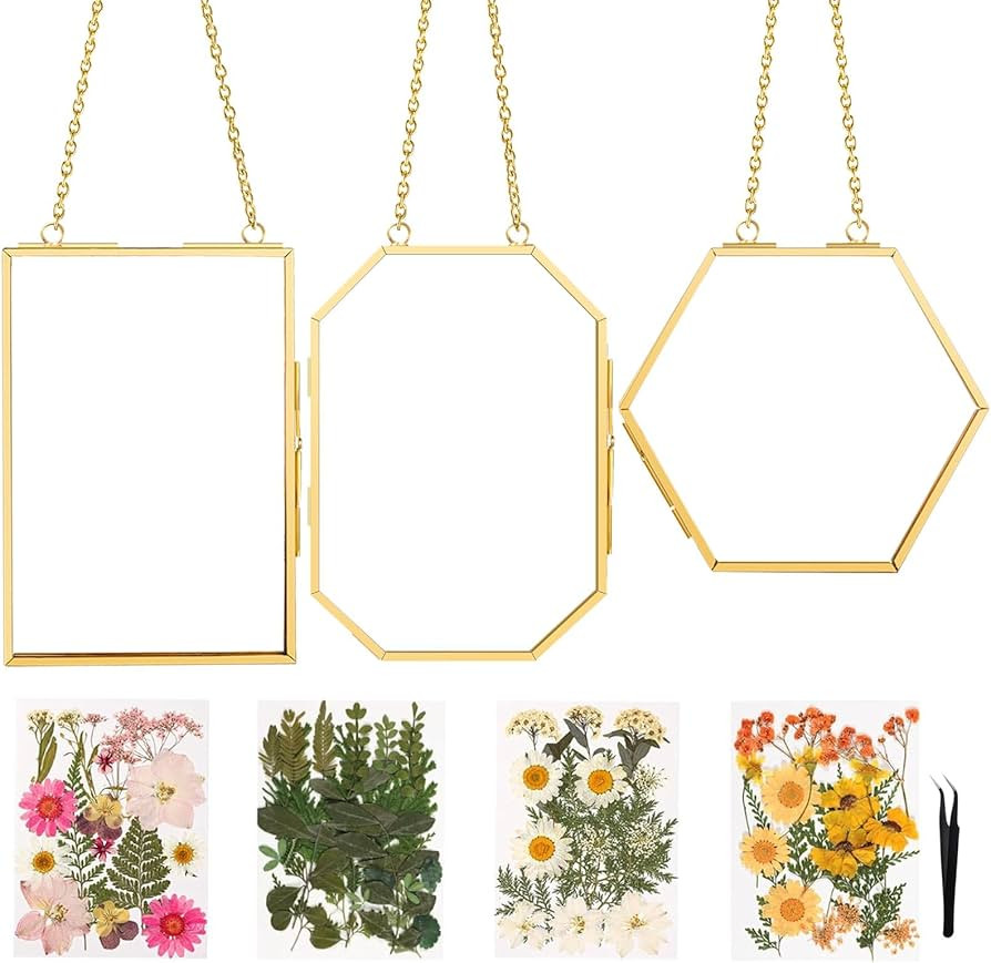 FOCHIER F 3pcs Pressed Flower Frames FC-US-Frames-T3-0108GoldHua | Amazon (US)