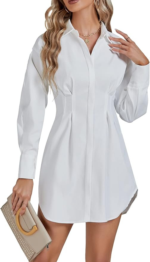 LYANER Women's Collar Buttons Down Pleated Long Sleeve Flared Mini Shirt Dress | Amazon (US)