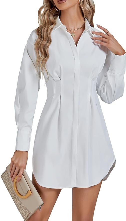 LYANER Women's Collar Buttons Down Pleated Long Sleeve Flared Mini Shirt Dress | Amazon (US)