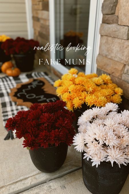 These are fake mums 😮 

#LTKSeasonal #LTKHalloween #LTKhome