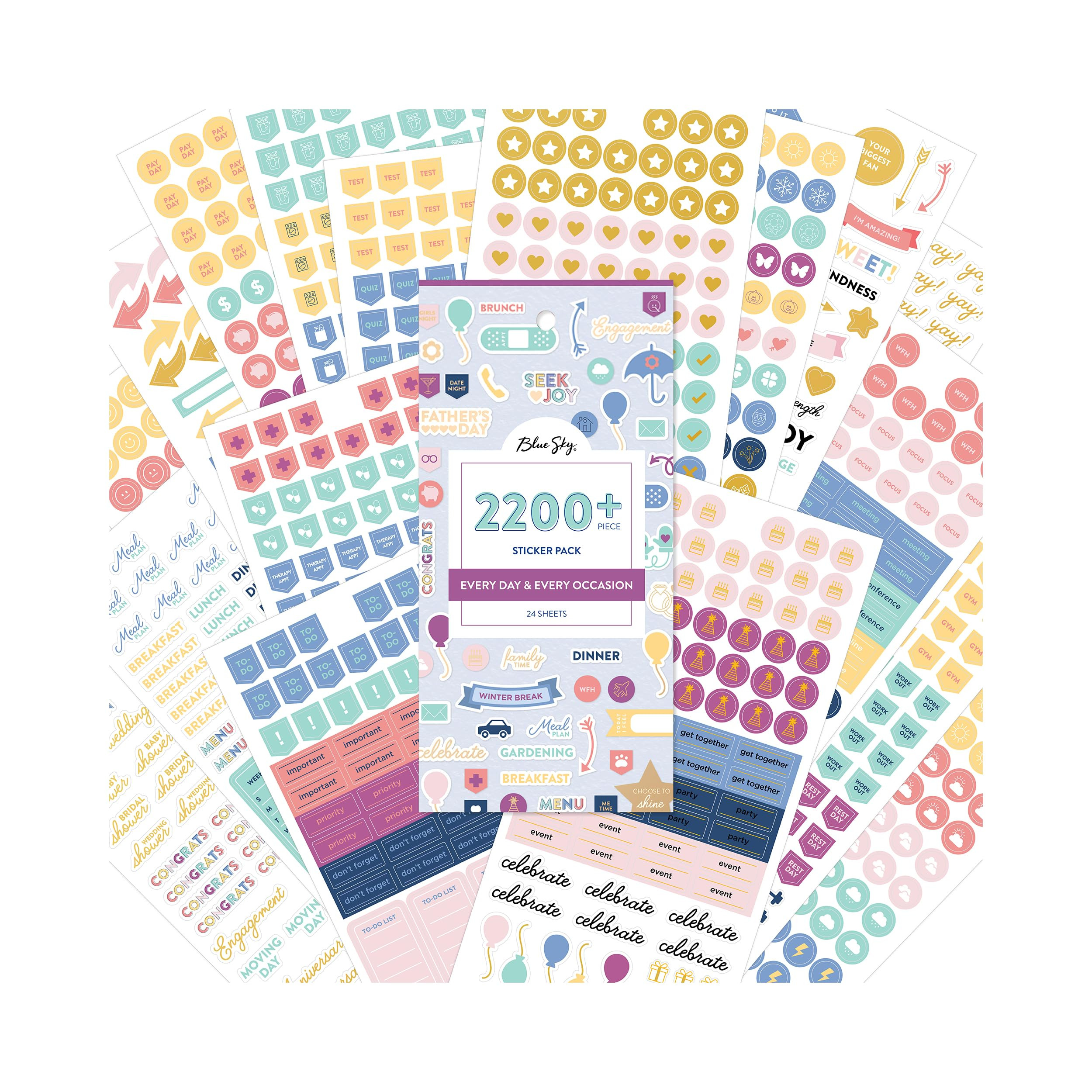 Blue Sky Every Day & Every Occasion 2200+ Sticker Pack, Planner and Calendar Pack, 4.49” x 9.06... | Amazon (US)