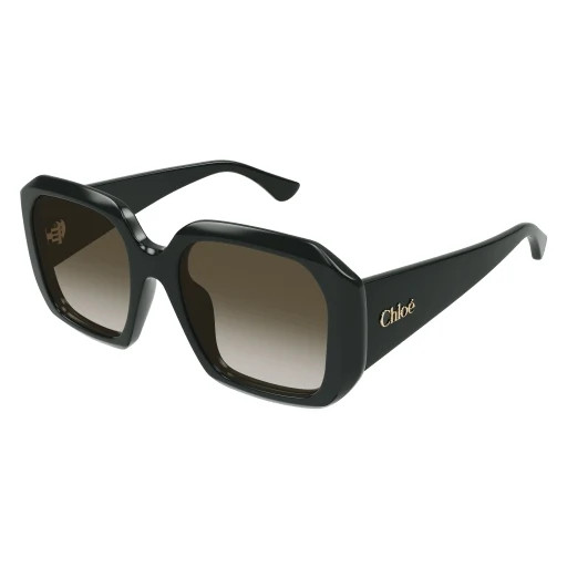 Chloe CH0300S Sunglasses 003 - Green - Green Women Square | Designer Optics