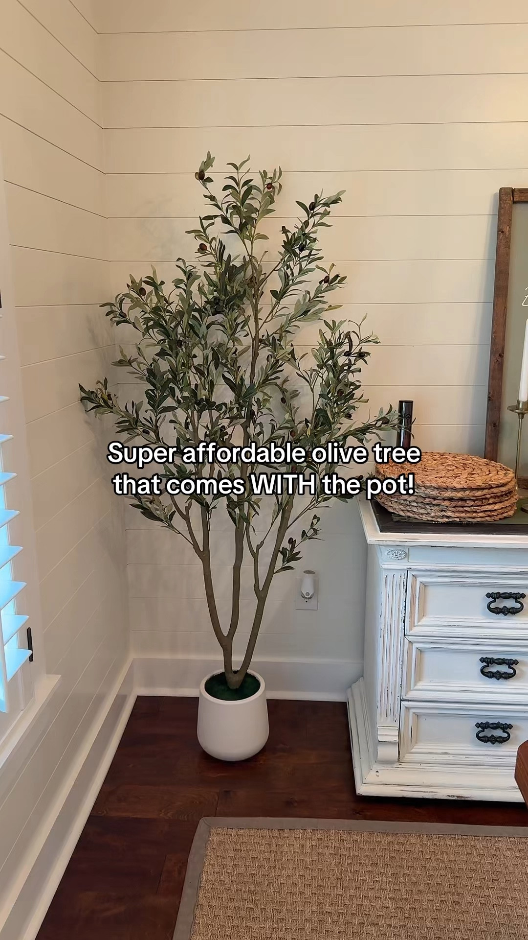 The prettiest olive tree and so affordable!!! 

#LTKHome #LTKMothersDay