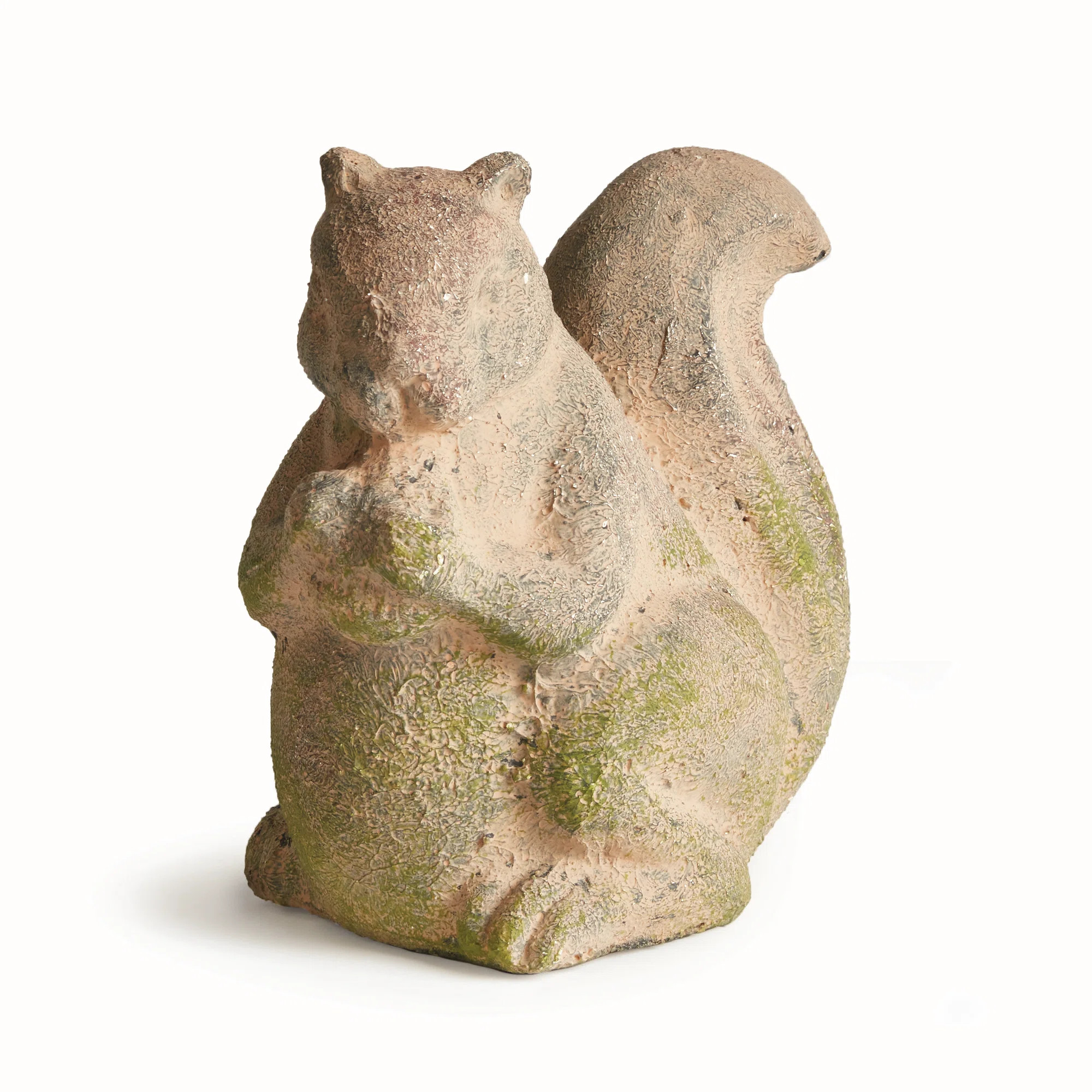 Doogal Squirrel Animals Terracotta Garden Statue | Wayfair North America