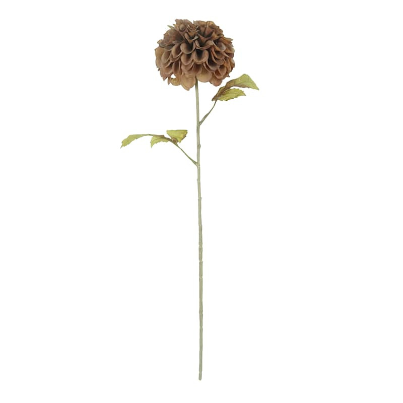 Brown Chrysanthemum Stem, 29" | At Home