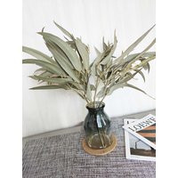 Big Leaf Eucalyptus Branches，dried Leaves，eucalyptus Bundle For Vase，dried Flowers Arrangeing，home D | Etsy (US)