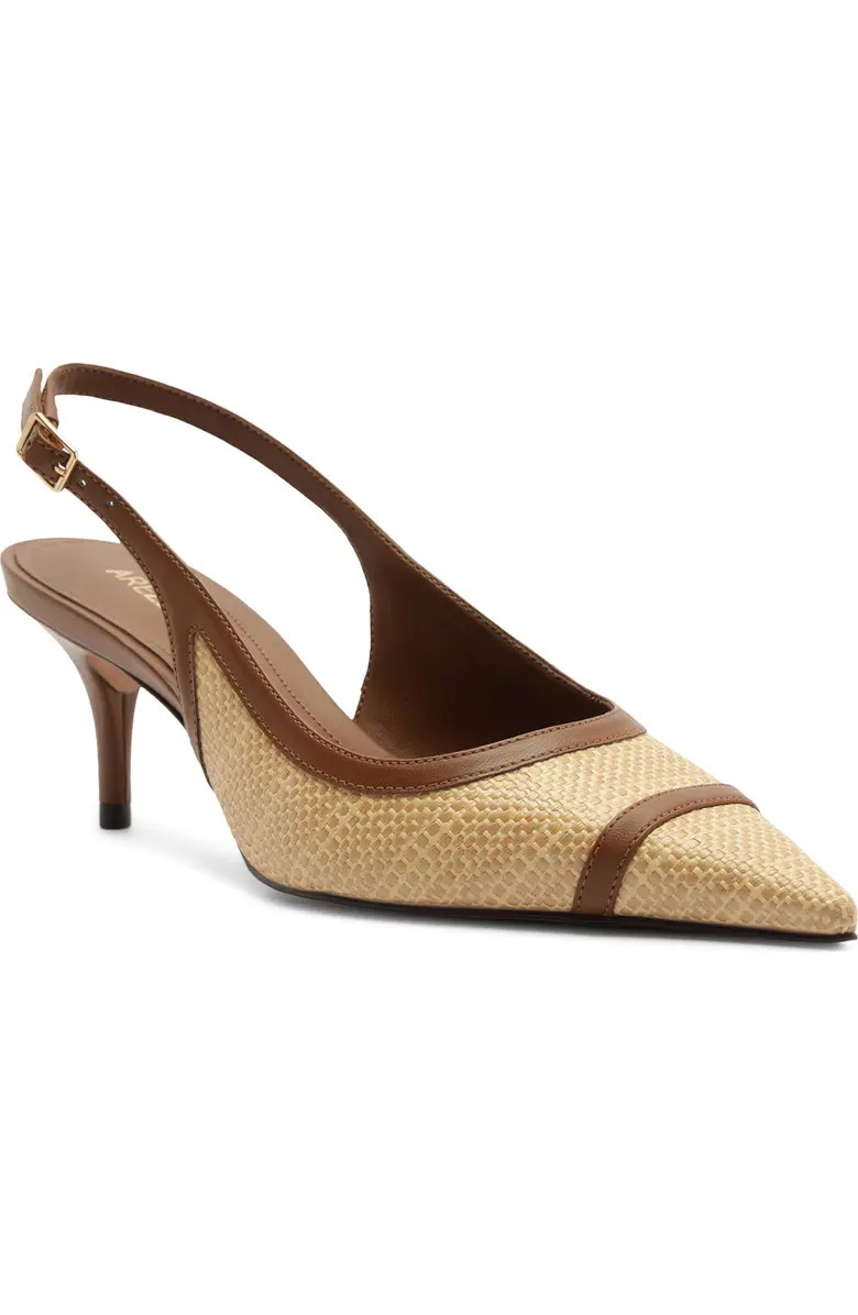 Liza Slingback Pointed Toe Pump (Women) | Nordstrom