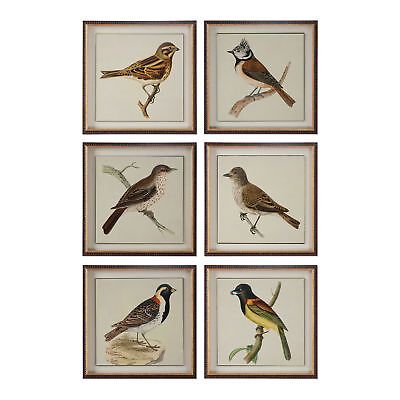 Audubon Bird Squares Set of 6 Prints | Wall Art Naturalist Artwork Vintage Style 707430518012 | e... | eBay US