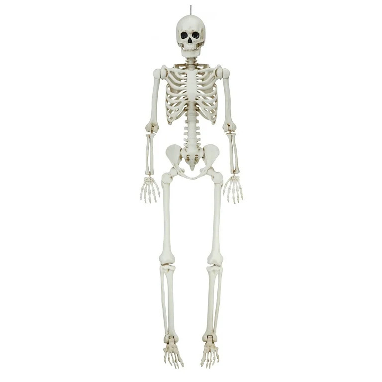 7ft Hanging Poseable Titan Faux Skeleton Decoration, Halloween by Way To Celebrate - Walmart.com | Walmart (US)