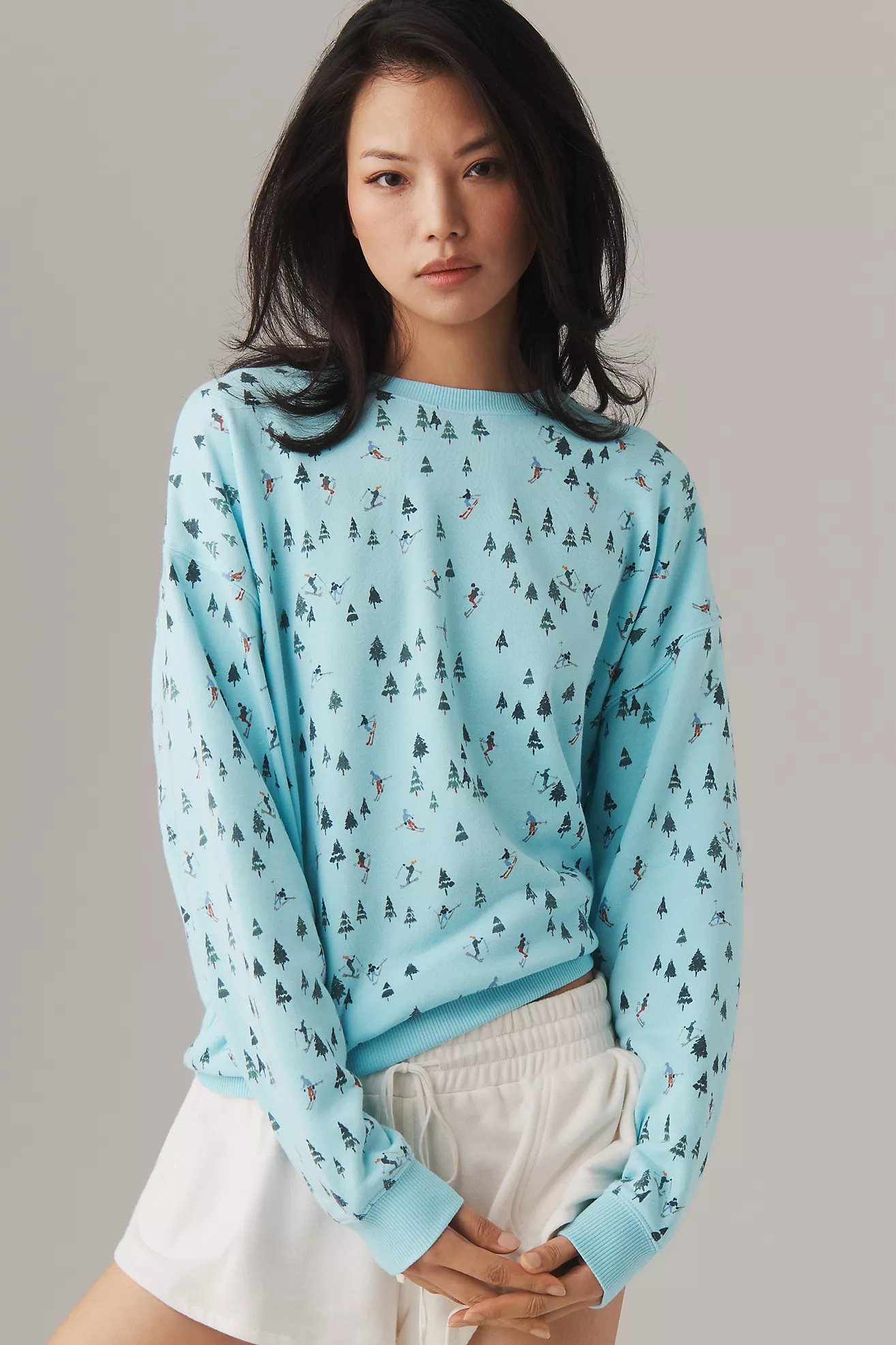 Beach Riot Devyn Alpine Crewneck Sweater | Anthropologie (US)