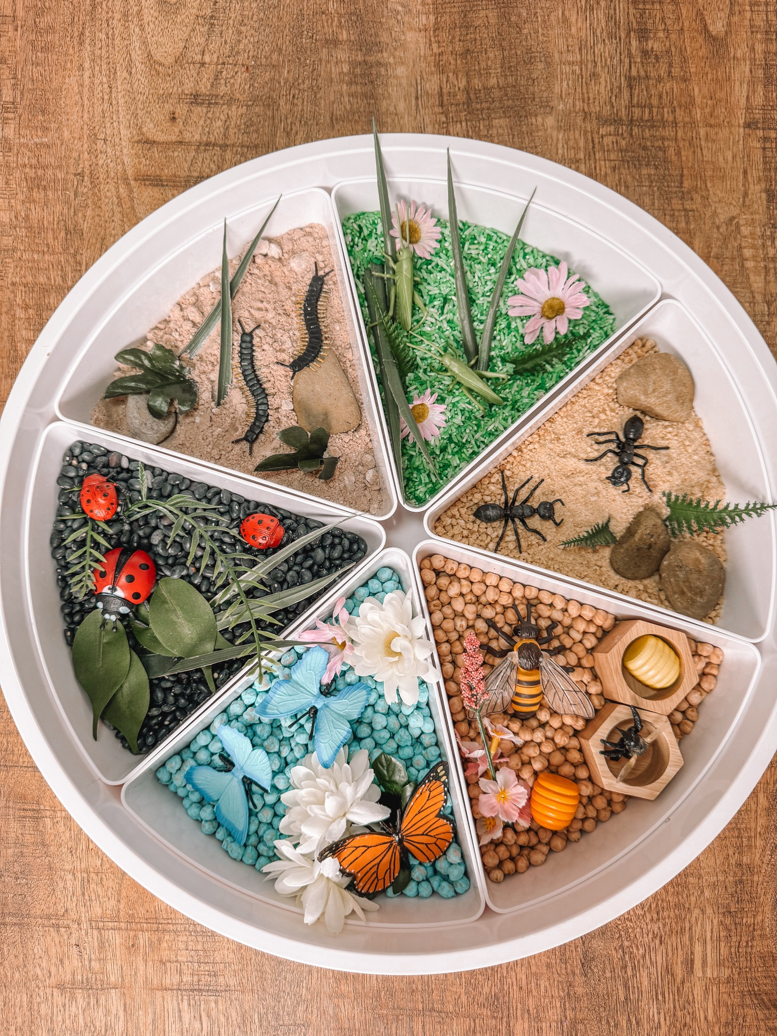 Bug themed play tray 🦋🐞🐝🐛 

#LTKKids #LTKSeasonal #LTKFamily