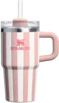 Stanley 20 oz. Quencher H2.0 FlowState Tumbler with Handle | DICK'S Sporting Goods