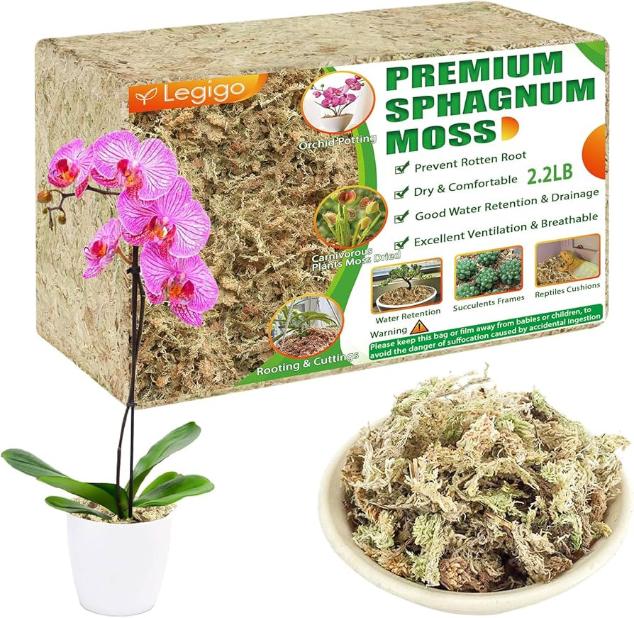 Legigo 1kg Premium Sphagnum Moss for Plants- 40 L Natural Succulent Carnivorous Plant Moss Dried,... | Amazon (UK)