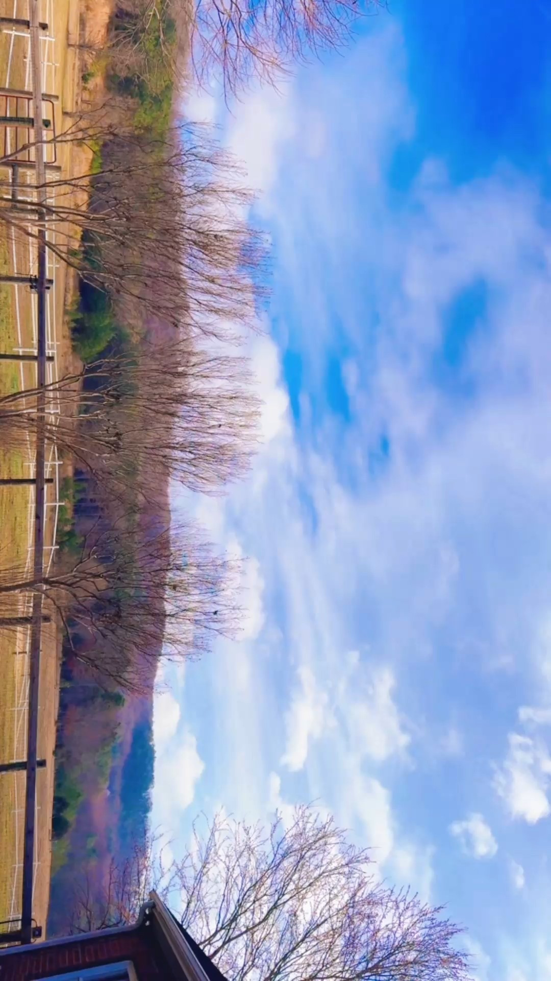 Heading out the door 🚪 to our weekly local Bible study 📖 group (& preschool class for J 💒) and then hanging with friends this afternoon!! 🌞 And I just  lovedddd heading all the birdies 🐦 chirping 🎶 this morning!!! 🥰 Spring is coming, y’all!! 🫶🏽