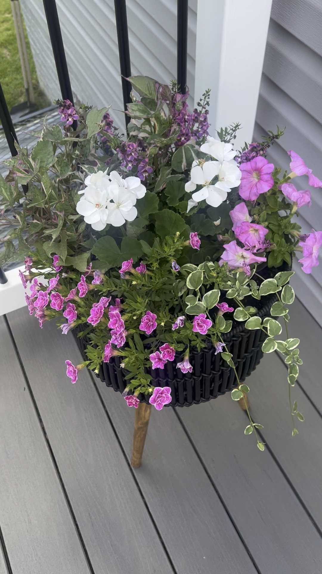 I love this planter! 😍

#walmartfinds #homedecor #planters #outdoorplanter #homefinds #patiodecor 


#LTKHome #LTKxWalmart