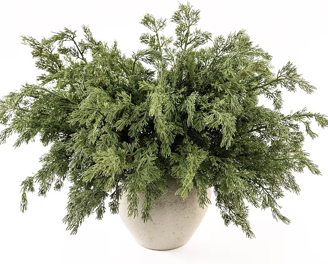 MISSPIN 12 Pcs 21.5 Inches Christmas Cedar Branches, Cedar Artificial Christmas Branches DIY Craf... | Amazon (US)