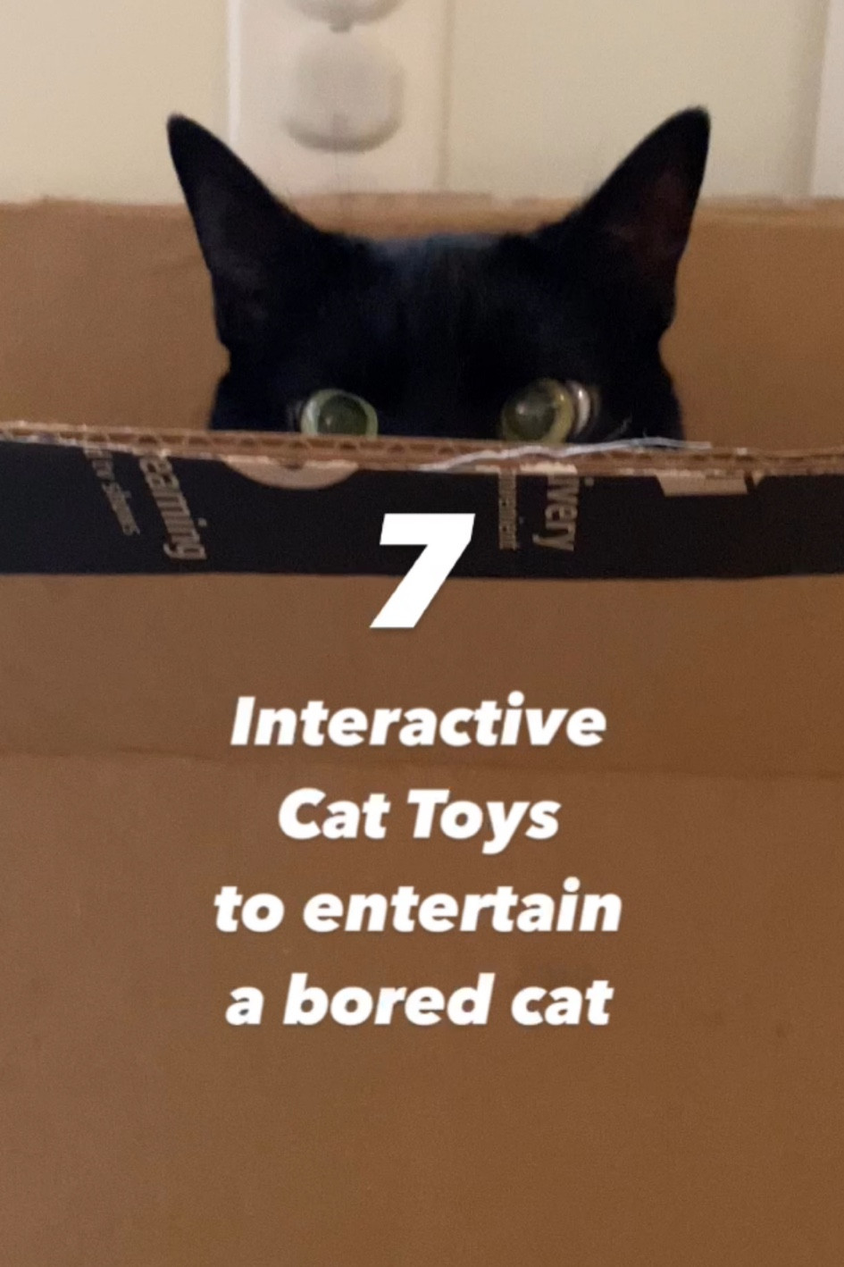 7 interactive toys our cats have tried and LOVED! 🐾 🐱 