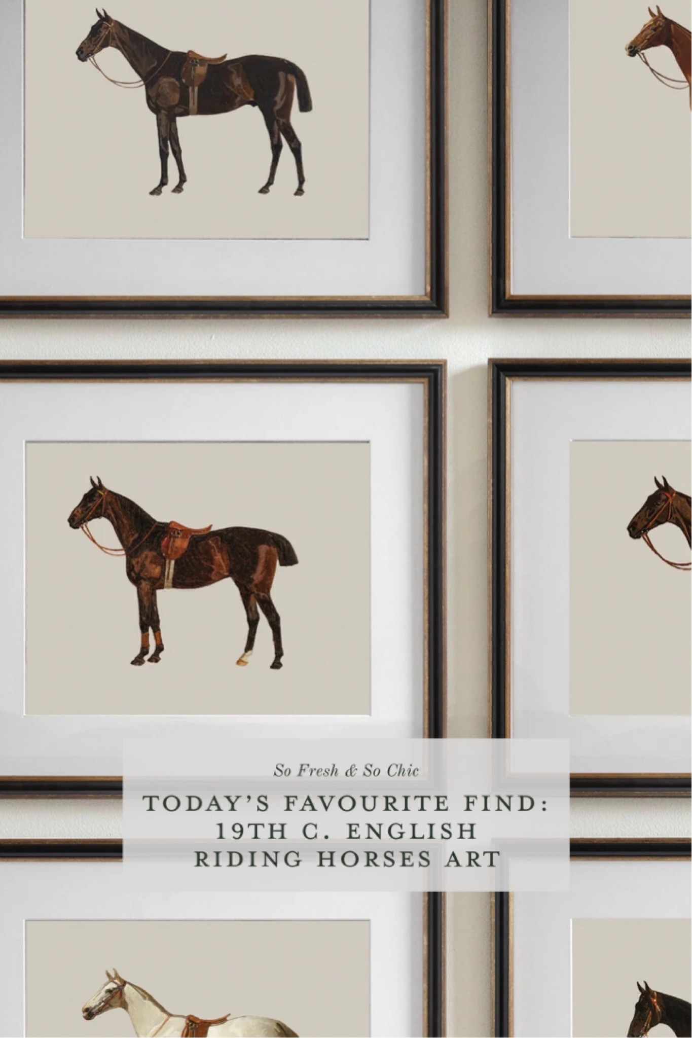 Grand millennial decor vintage horse art prints.
-
Equestrian art prints - affordable art - vintage architectural prints - vintage butterfly art - vintage planes art - vintage gallery wall set - etsy - dark academia art prints - Victorian silhouette art prints - English manor gallery wall art collection 

#LTKunder50 #LTKhome