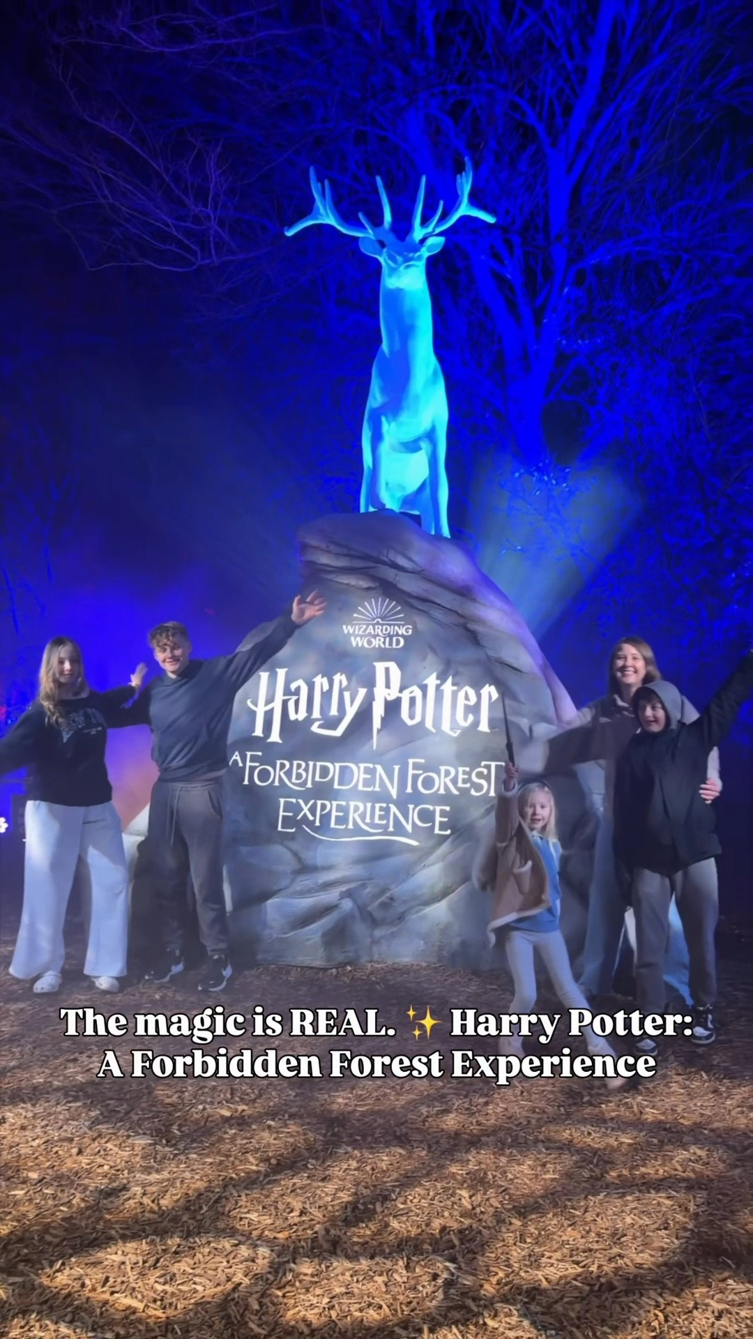 The Harry Potter™: A Forbidden Forest Experience @hpforbiddenforestexperience is filled with glowing creatures, spell-casting moments, and wizarding world wonder—Chicago, this is unreal. ✨✨Stepping into PURE MAGIC.🌲🪄

Grab your tickets now!! This would be such a fun holiday gift! https://glnk.io/1qyoj/forbiddenforestxyoungwildmefamily

Save 10% off with my code youngwildmefamily10 !!

#Sponsored #HarryPotter #HPForbiddenForestExperience #HPForbiddenForest #HPForbiddenForestChicago

#LTKGiftGuide #LTKHoliday #LTKvlog