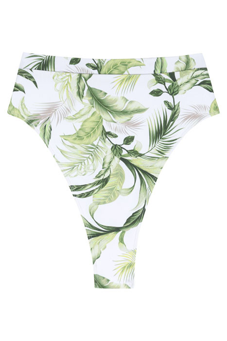 RIVIERA BOTTOM PALM | Otrium US