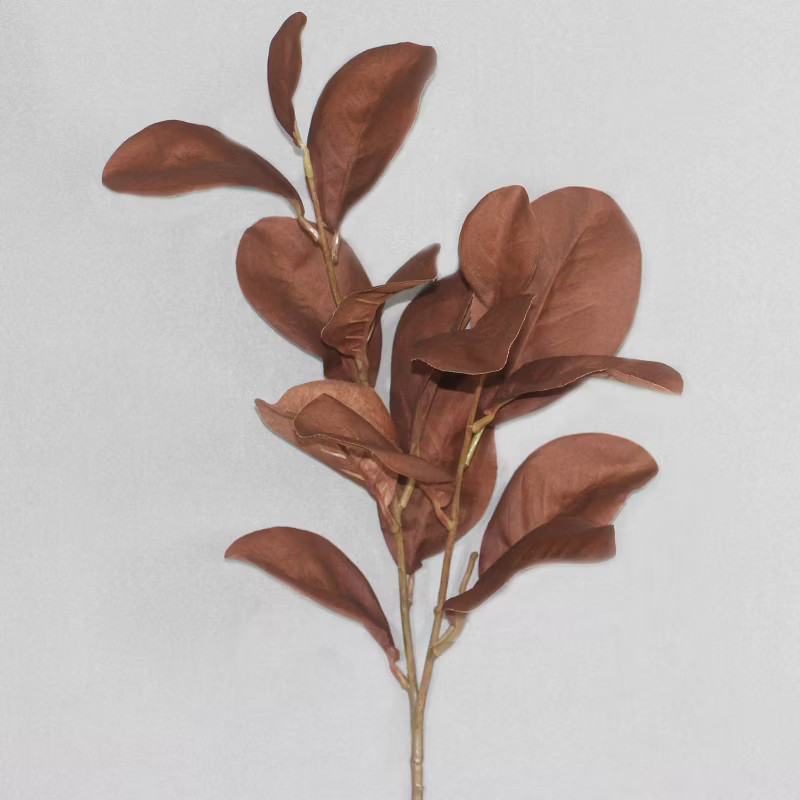 Magnolia Stem Brown - Threshold™ | Target