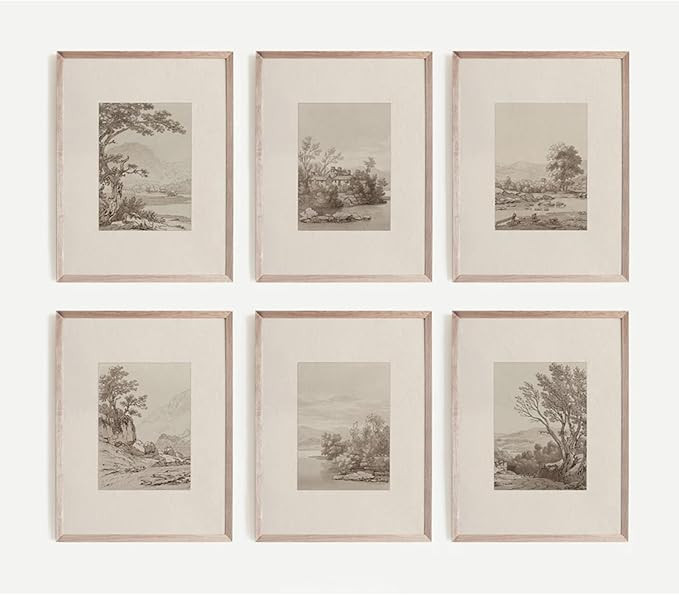 Joocrise Neutral Wall Art Decor Set of 6 Vintage Canvas Wall Art Rustic Farmhouse Wall Art Botani... | Amazon (US)