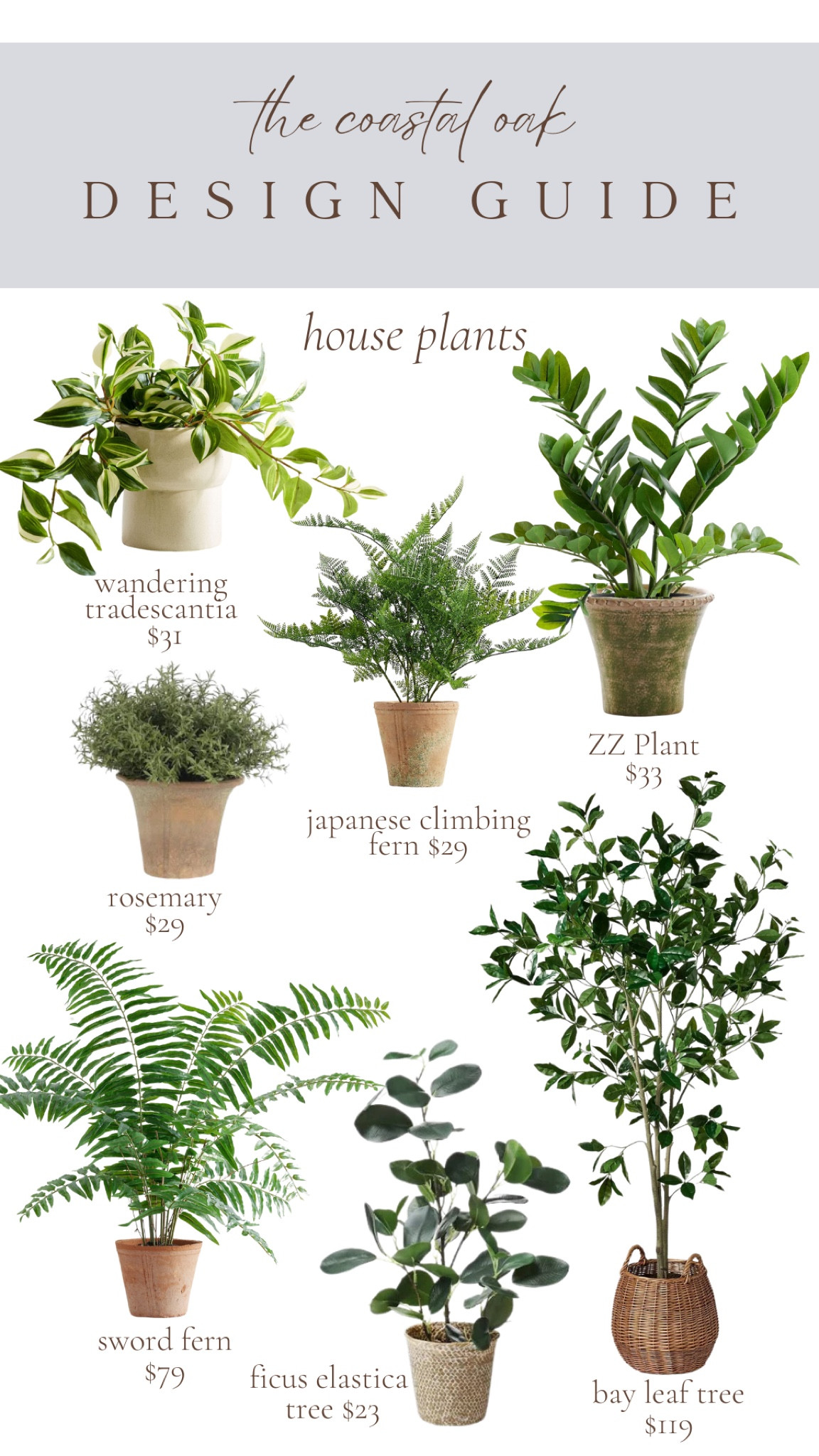 House plant ideas! Great way to bring in warm vibes during these winter months! 

#LTKHome #LTKFindsUnder50 #LTKSeasonal