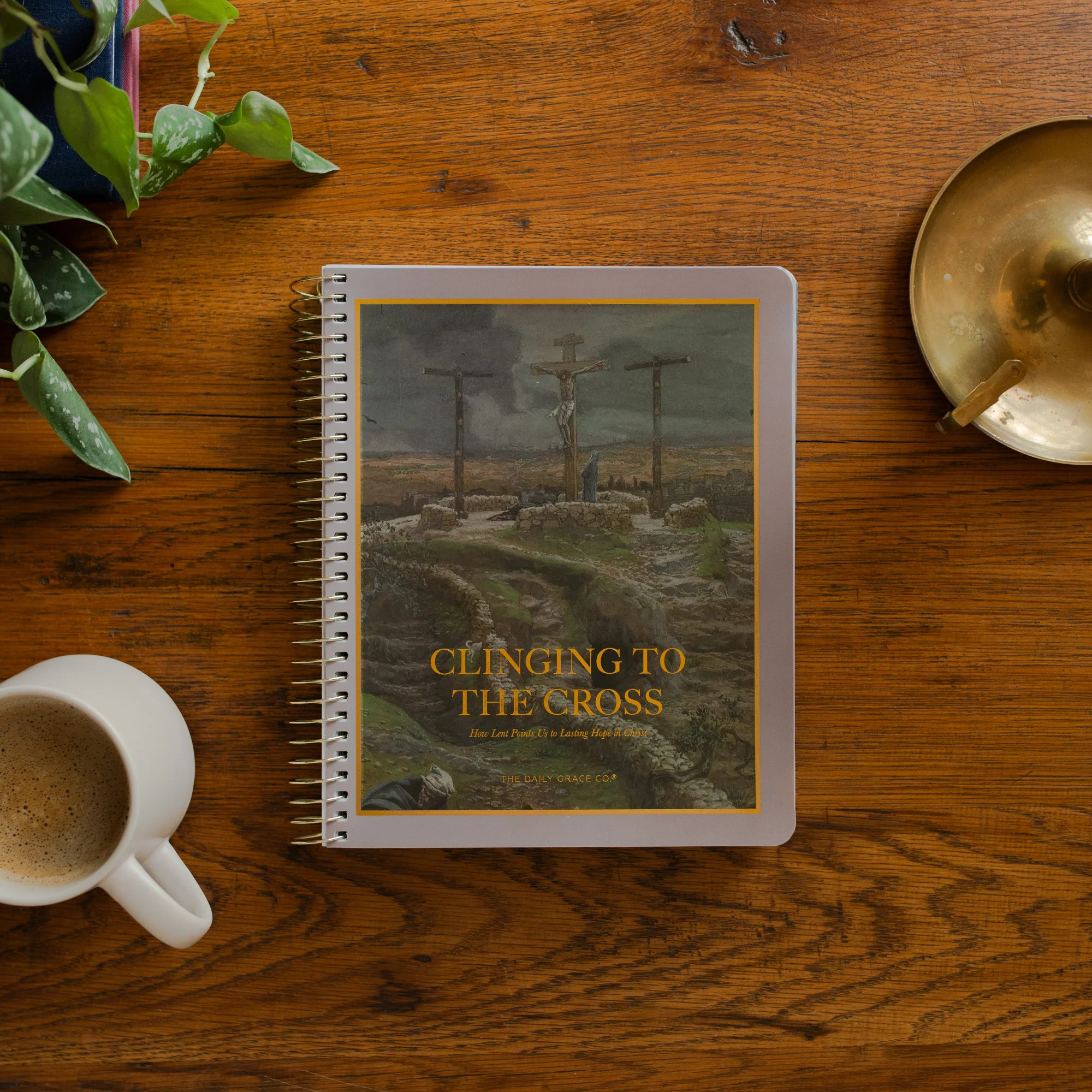 Clinging to the Cross - Lent Bible Study | The Daily Grace Co.